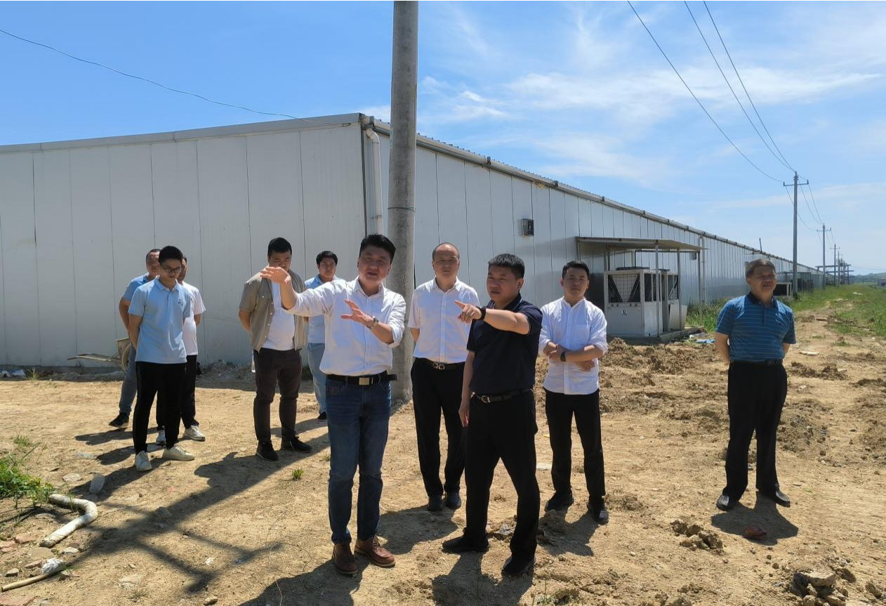 市國(guó)控集團(tuán)黨委書記、董事長(zhǎng)張志堅(jiān)帶隊(duì)深入調(diào)研鄉(xiāng)村振興項(xiàng)目